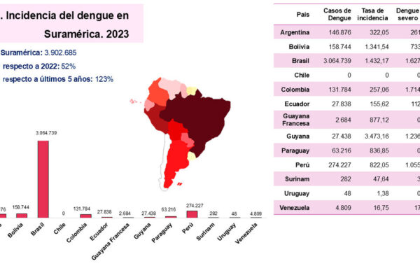 Investigación revela tendencias de epidemias de dengue en América Latina