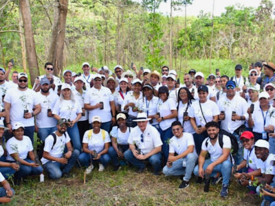 RD reforesta 50,000 tareas de bosques en cuencas hidrográficas prioritarias