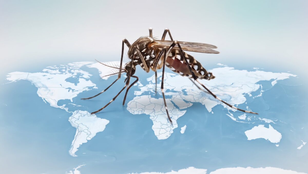 El dengue se expande: Prevención ante su avance en Europa y el mundo