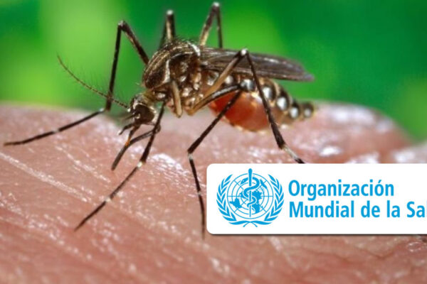 Priorizar medidas para controlar enfermedades transmitidas por mosquitos en la República Dominicana