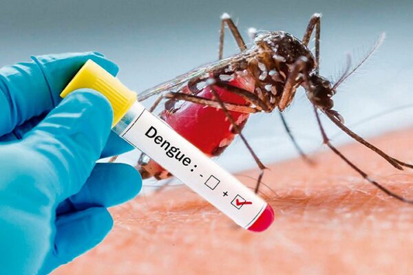Confirman en Madrid caso de dengue transmitido sexualmente