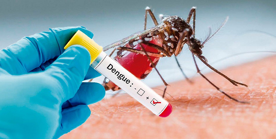 Confirman en Madrid caso de dengue transmitido sexualmente
