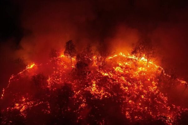 Millones en Indonesia Respiran Humo Tóxico Debido a Meses de Incendios Forestales