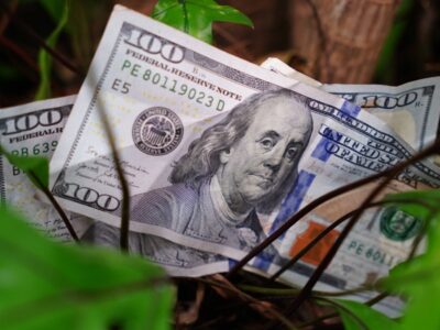 Pronóstico del Dólar para Este Fin de Semana en República Dominicana