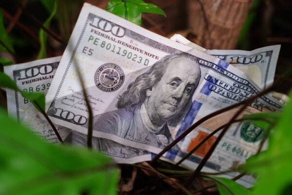 Pronóstico del Dólar para Este Fin de Semana en República Dominicana
