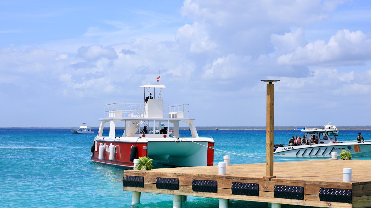 ONU Turismo: La desaceleración global no detiene el crecimiento de República Dominicana