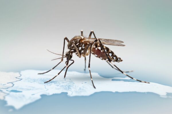 La República Dominicana presenta una de las tasas de dengue más bajas de la región