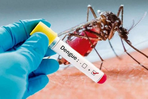 Salud Pública Resalta la Disminución del Dengue en República Dominicana