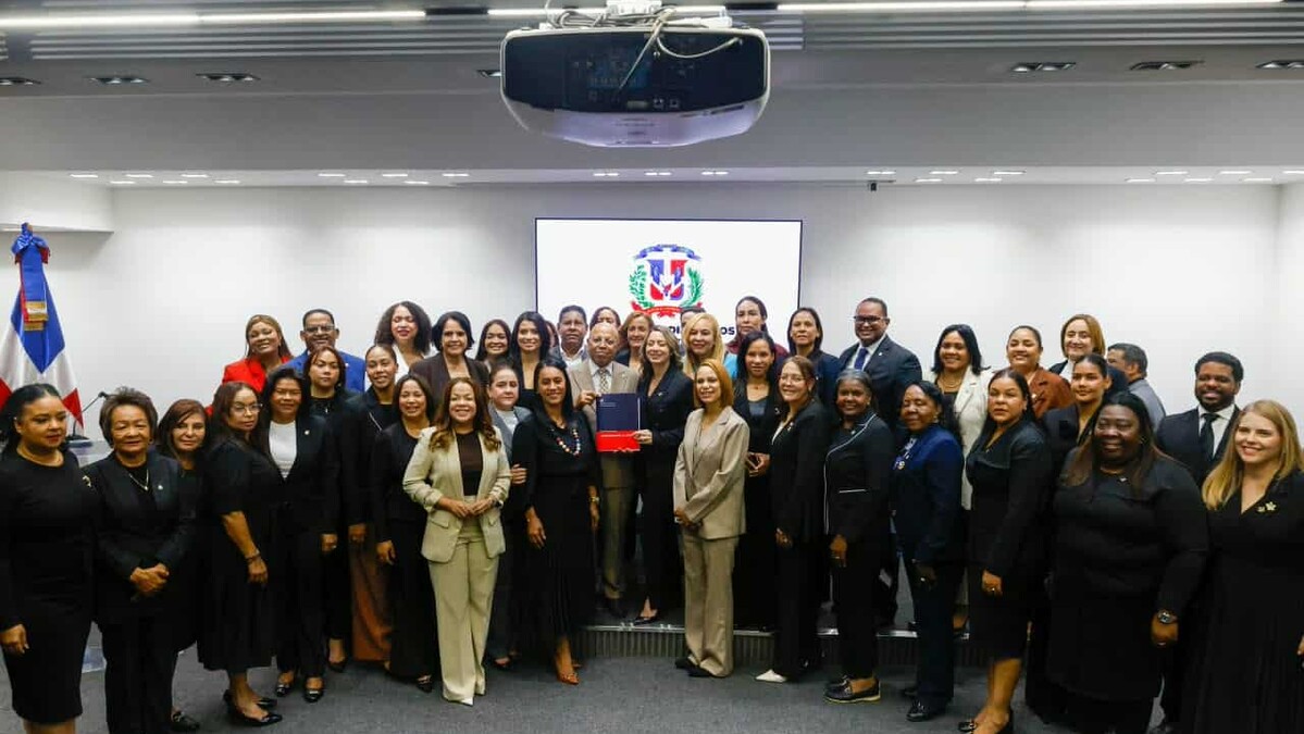 Gobierno presenta la Ley Mirabal para abordar la violencia vicaria en la República Dominicana