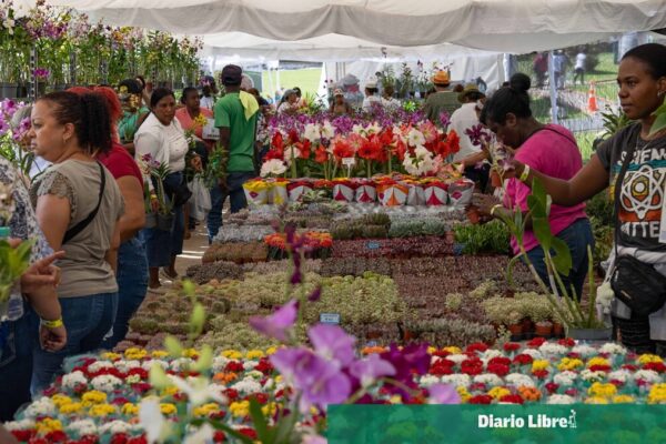 El Jardín Botánico Nacional celebra su vigésima edición del Festival Nacional de Plantas y Flores