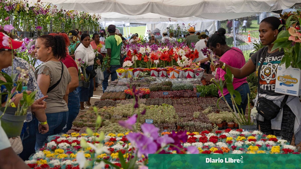 El Jardín Botánico Nacional celebra su vigésima edición del Festival Nacional de Plantas y Flores