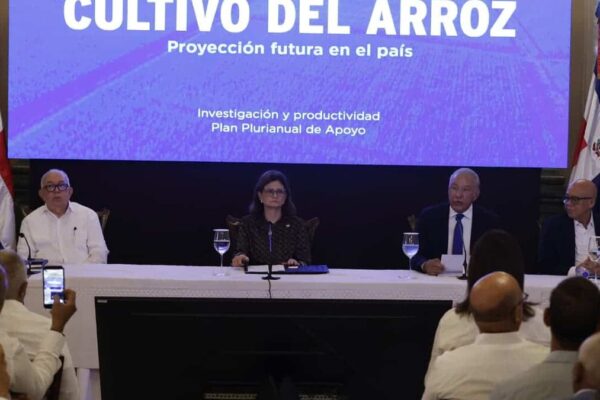 Gobierno Dominicano Anuncia Medidas para Enfrentar la Presión del Arroz Estadounidense