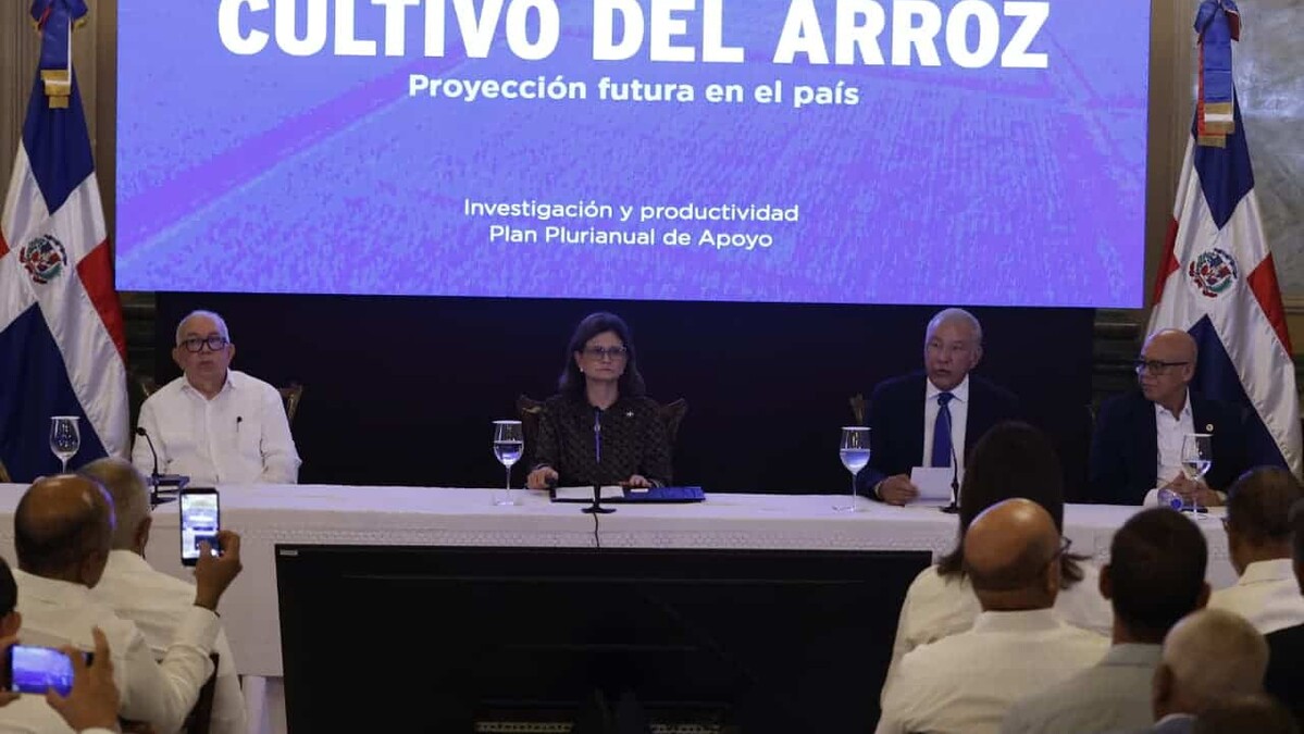 Gobierno Dominicano Anuncia Medidas para Enfrentar la Presión del Arroz Estadounidense