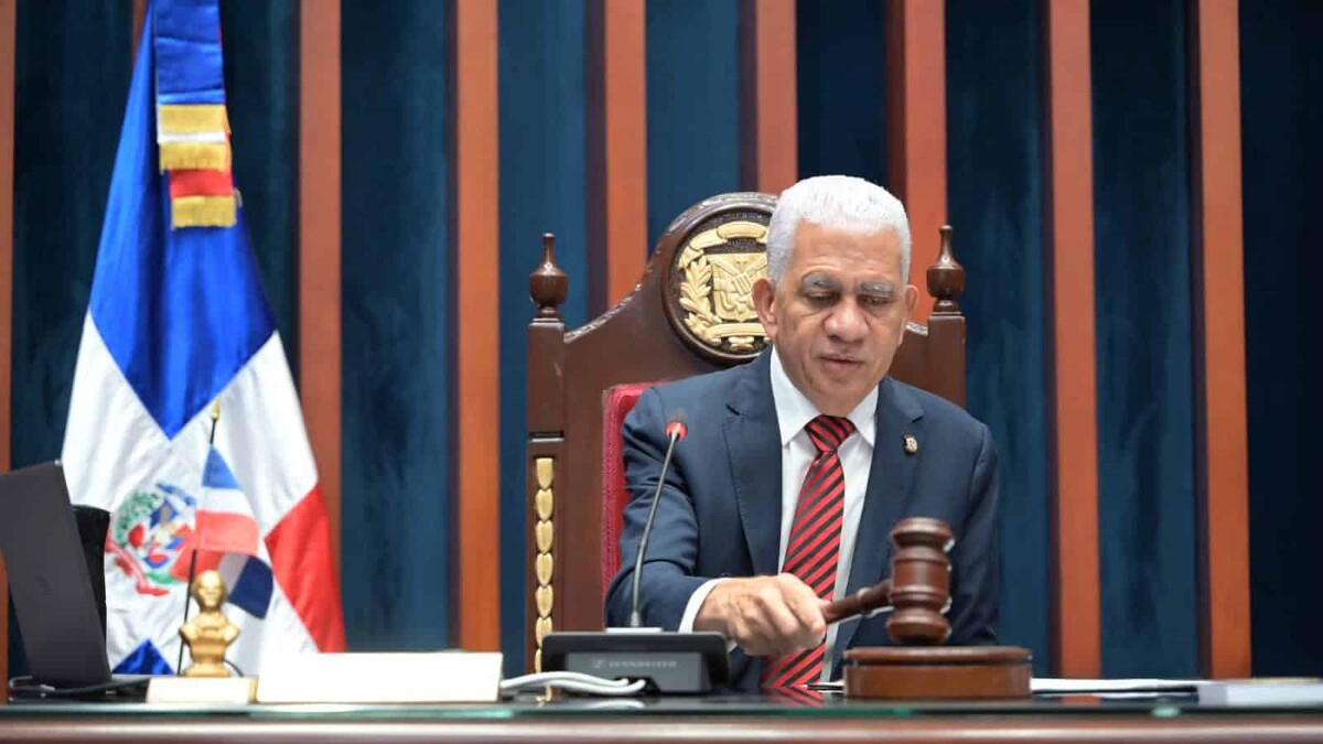 Cuestionamientos a Faride Raful por Actuaciones Policiales