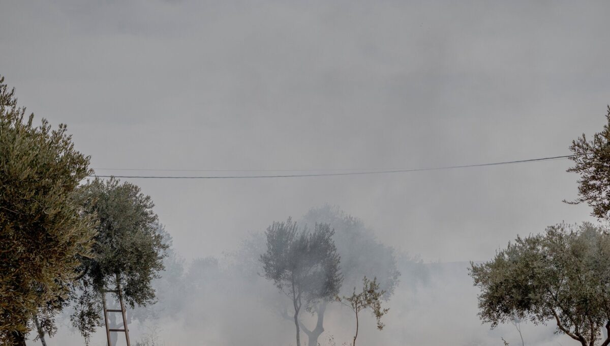 Incidentes de violencia por parte de colonos israelíes contra palestinos y oficiales europeos en Cisjordania