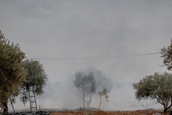 Incidentes de violencia por parte de colonos israelíes contra palestinos y oficiales europeos en Cisjordania