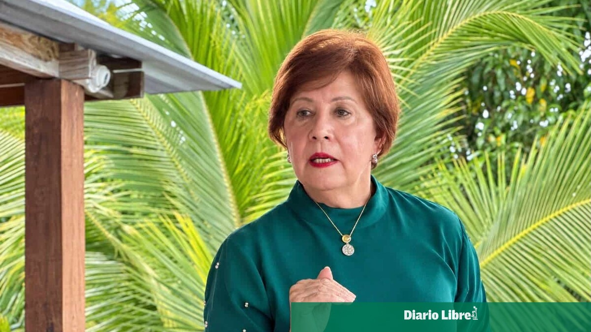 FP alerta sobre deficiencias en la lectoescritura del sistema educativo dominicano