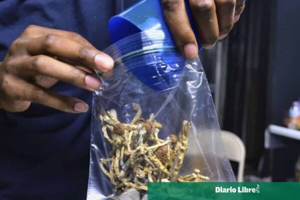 Los Carabinieri Advierte sobre la Gentrificación del Cannabis en Italia