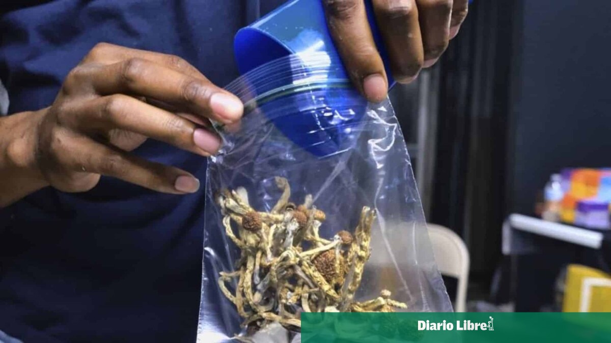 Los Carabinieri Advierte sobre la Gentrificación del Cannabis en Italia