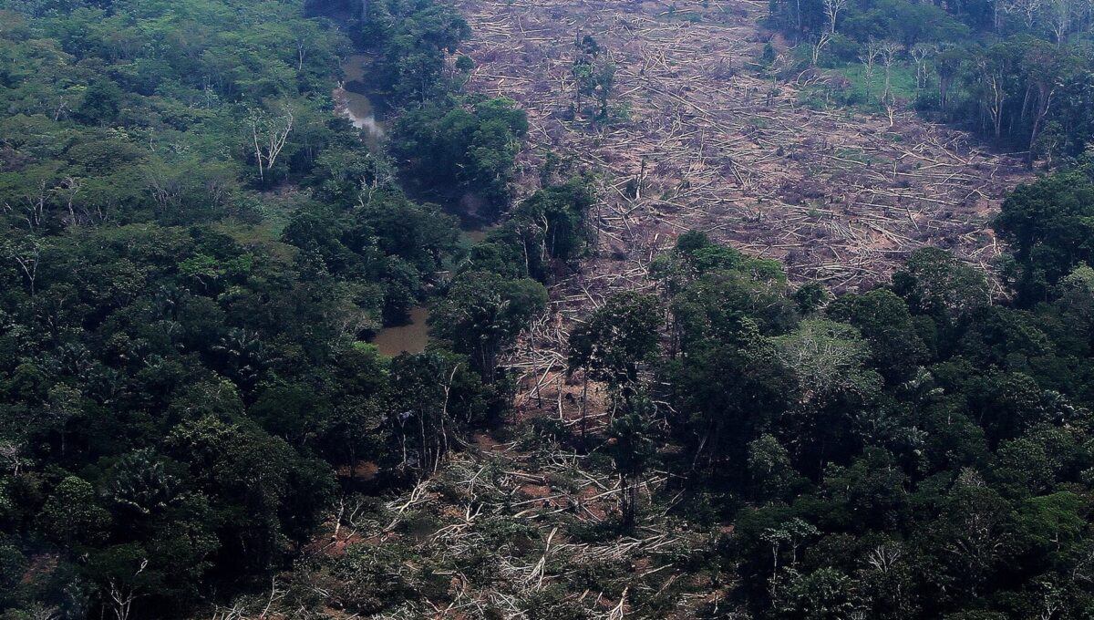 La Amazonía y la Elección Presidencial en Brasil