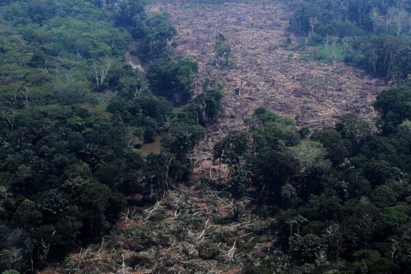 La Amazonía y la Elección Presidencial en Brasil