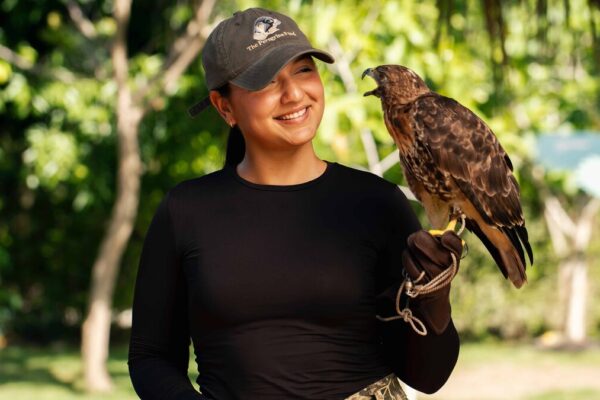 The Perfect Day en Puntacana: Un Itinerario Inolvidable