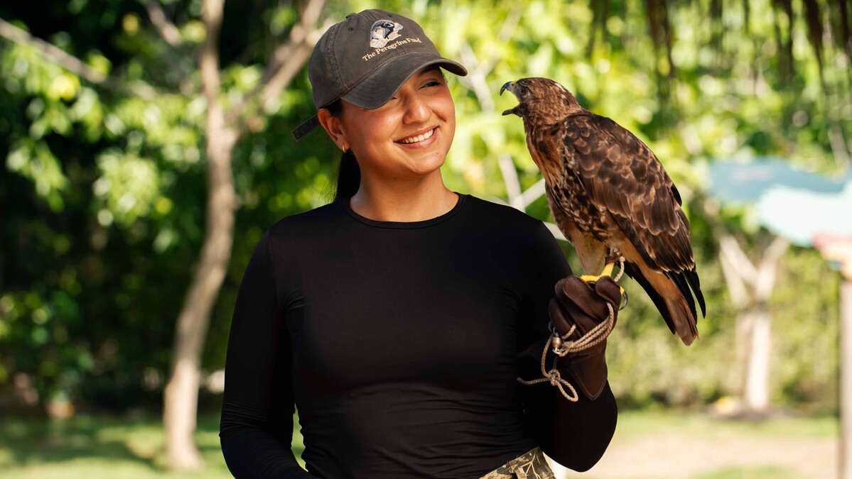 The Perfect Day en Puntacana: Un Itinerario Inolvidable