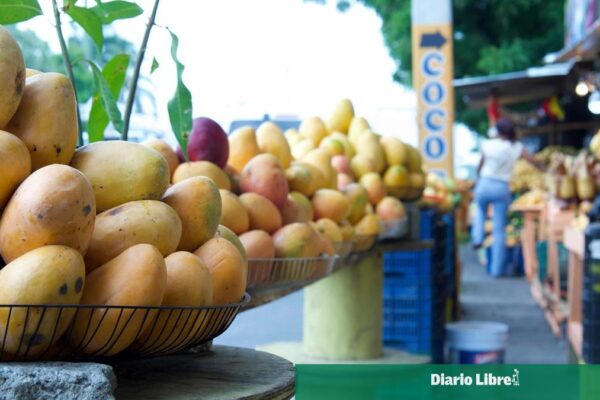 República Dominicana se prepara para reanudar exportaciones de mango a Estados Unidos