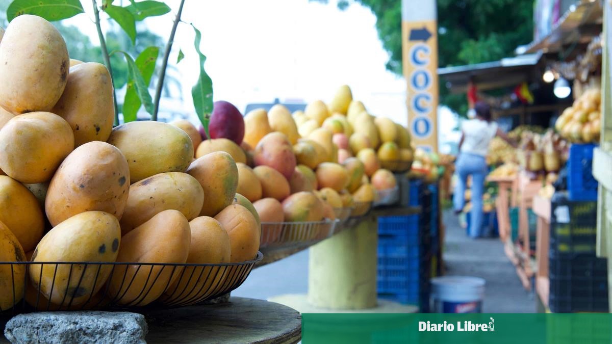 República Dominicana se prepara para reanudar exportaciones de mango a Estados Unidos