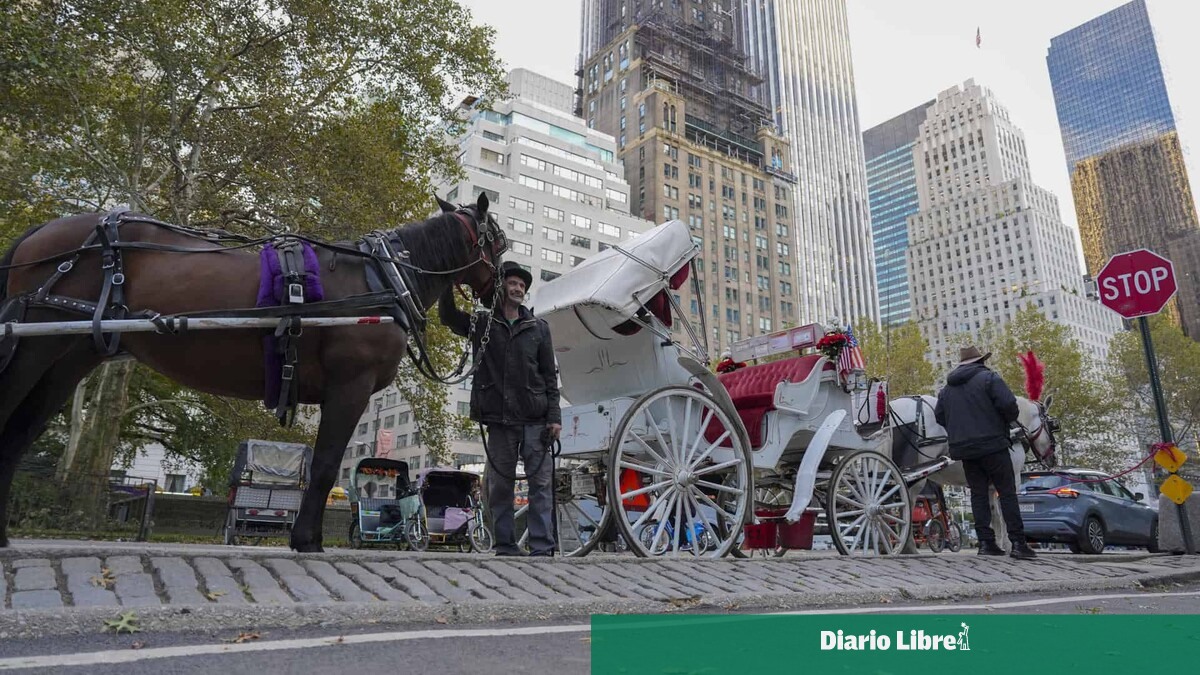 Los Carruajes de Central Park: 150 Años de Historia Llegan a Su Fin en Nueva York