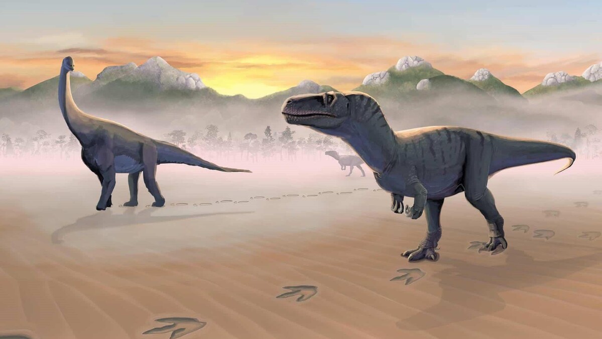 Descubren huellas de dinosaurios que datan de hace 65 millones de años en Michoacán